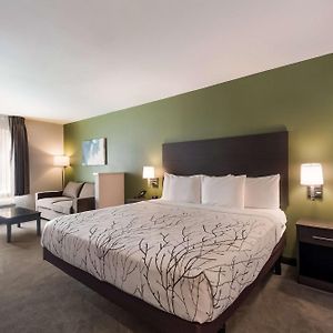 Large King Room